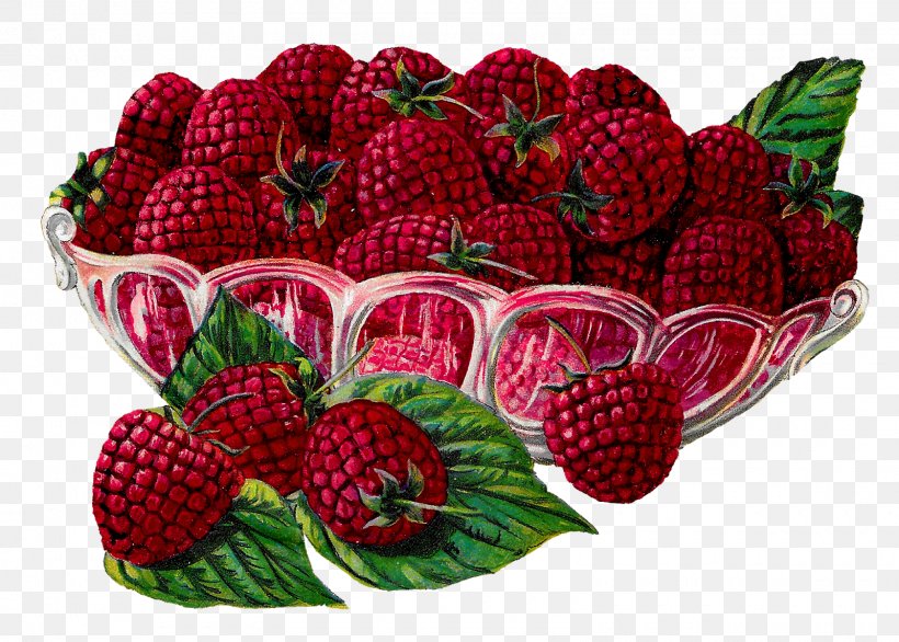 Raspberry Fruit Clip Art, PNG, 1600x1145px, Berry, Blackberry, Flowerpot, Food, Fruit Download Free
