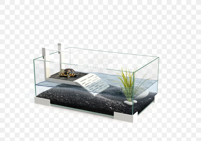 Reptile Turtle Aquarium Terrarium Terrapin, PNG, 1000x700px, Reptile, Aquarium, Aquariums, Aquatic Animal, Coldwater Fish Download Free