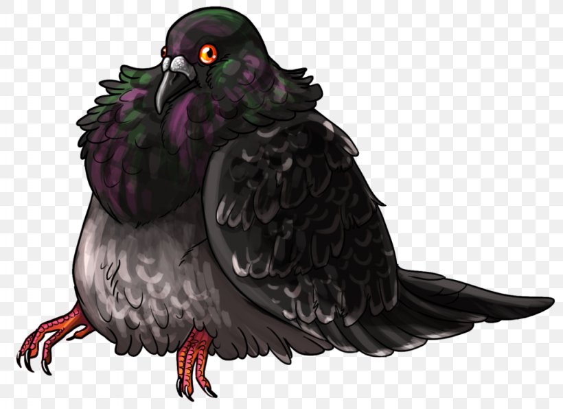 Bird Fat Pigeon Bar Hop Columbidae, PNG, 1024x745px, Bird, Beak, Cartoon, Columbidae, Drawing Download Free