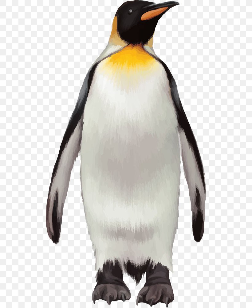 King Penguin Bird, PNG, 522x1000px, Penguin, Beak, Bird, Coreldraw, Emperor Penguin Download Free