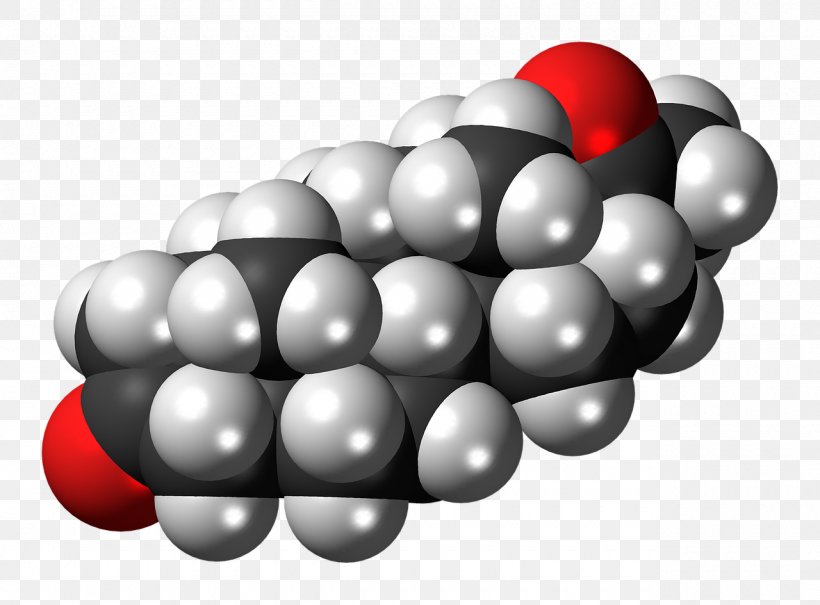Progesterone Molecule Steroid Cortisol Space-filling Model, PNG, 1280x945px, Progesterone, Cell Membrane, Chemistry, Cortisol, Estradiol Download Free