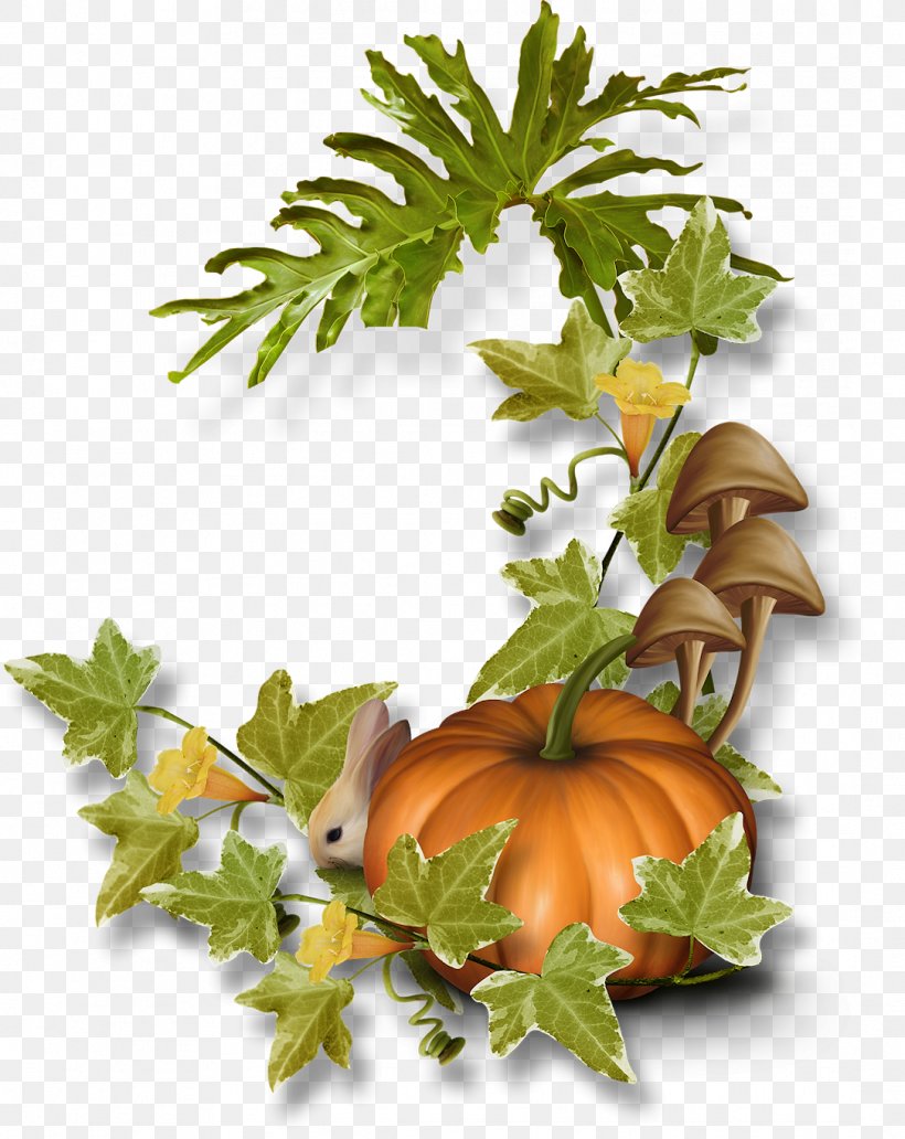 Pumpkin Calabaza Food Gourd, PNG, 1086x1367px, Pumpkin, Autumn, Calabaza, Coreldraw, Cucurbita Download Free