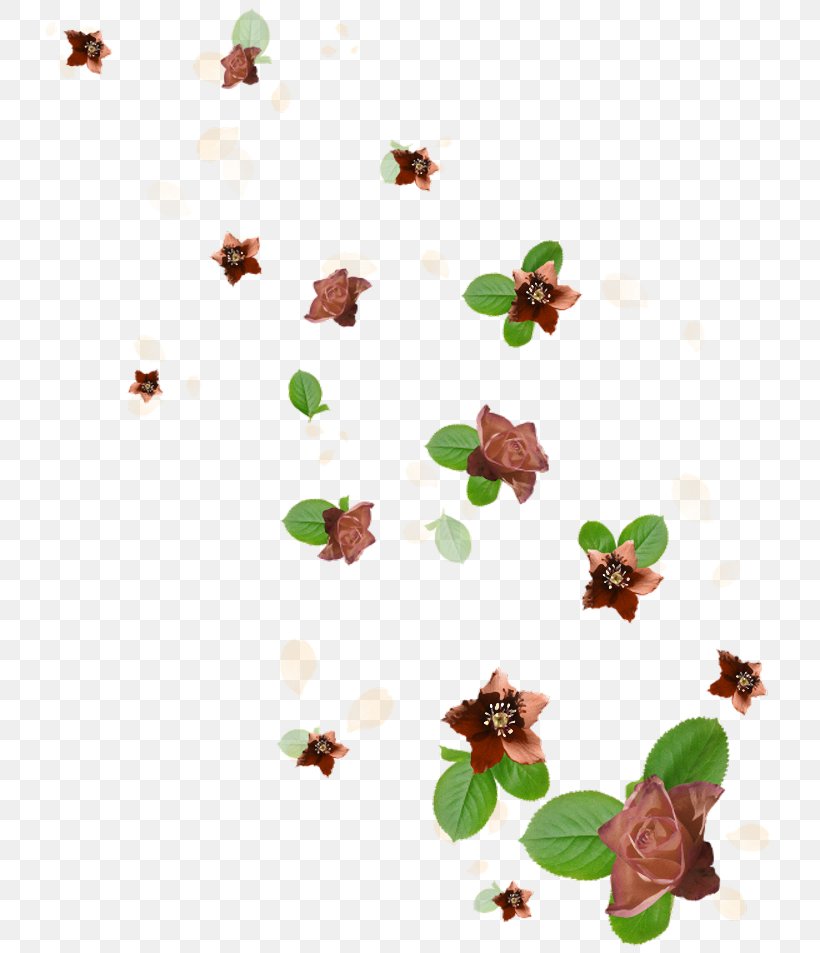Small Floral Floats, PNG, 750x953px, Plot, Drawing, Flower, Gratis, Insect Download Free