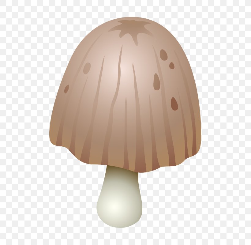 Boletus Edulis Mushroom Fungus, PNG, 800x800px, Boletus Edulis, Boletus, Cartoon, Drawing, Edible Mushroom Download Free