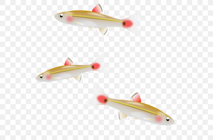 Fish Minnow Clip Art, PNG, 573x538px, Fish, Aircraft, Airplane, Bait, Blog Download Free