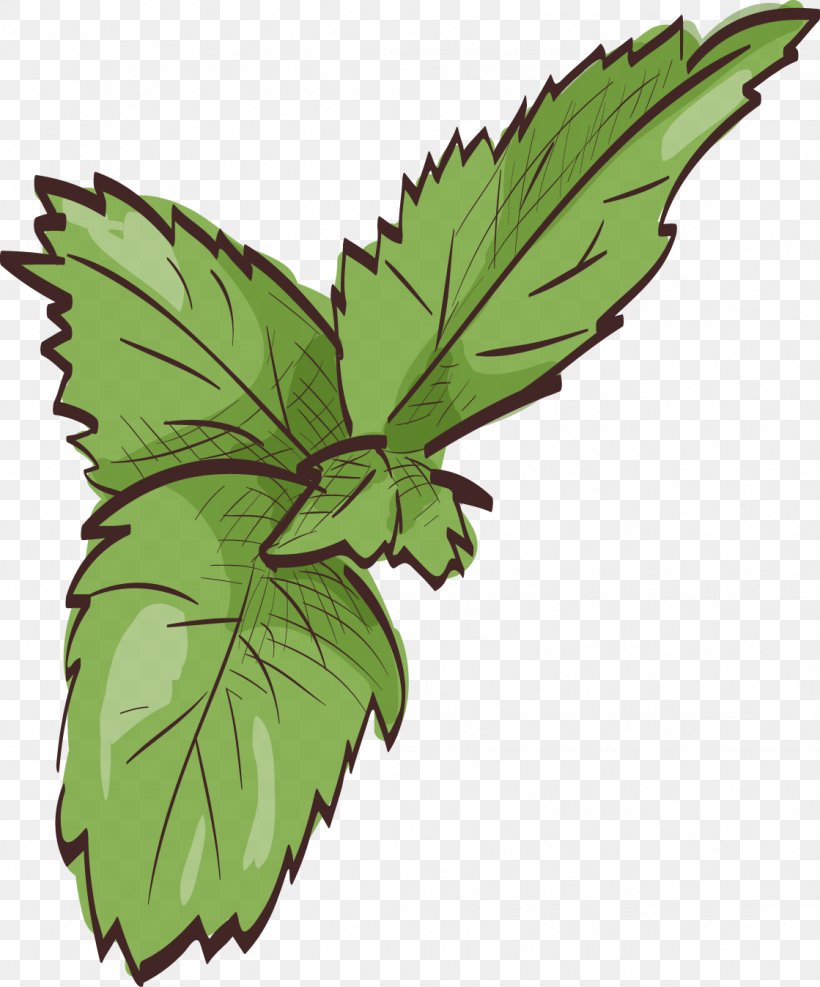 Leaf Mint Euclidean Vector, PNG, 1119x1347px, Leaf, Drawing, Element