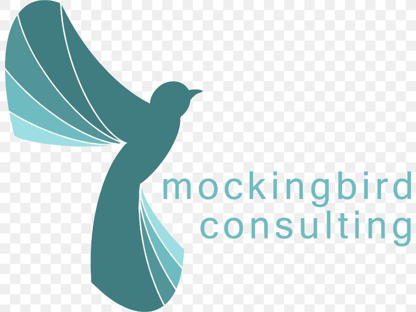 The Things Network Internet Of Things Mockingbird Consulting Ltd Gateway, PNG, 800x615px, Things Network, Beak, Brand, Computer, Computer Software Download Free