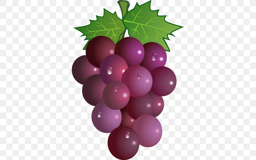 Wine Clip Art Vector Graphics Grape, PNG, 512x512px, Wine, Berry, Drawing, Flowering Plant, Food Download Free
