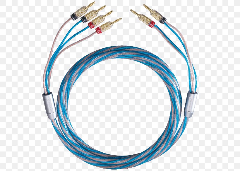 Bi-wiring Speaker Wire Loudspeaker Electrical Cable Kabelschuh, PNG, 786x587px, Biwiring, American Wire Gauge, Audio Crossover, Biamping And Triamping, Body Jewelry Download Free