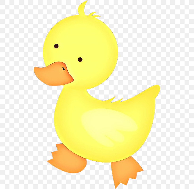 Duck Ducks, Geese And Swans Bird Yellow Water Bird, PNG, 536x800px, Duck, Beak, Bird, Cartoon, Ducks Geese And Swans Download Free