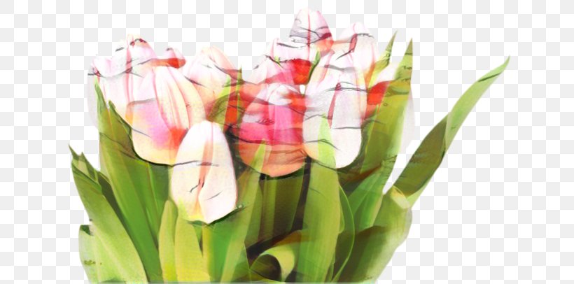 Lily Flower Cartoon, PNG, 650x406px, Floral Design, Anthurium, Bouquet, Bud, Cut Flowers Download Free