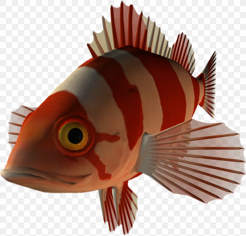 Fish Blog Desktop Wallpaper Clip Art, PNG, 1024x981px, Fish, Beak, Blog, Fishing, Mpeg4 Part 14 Download Free