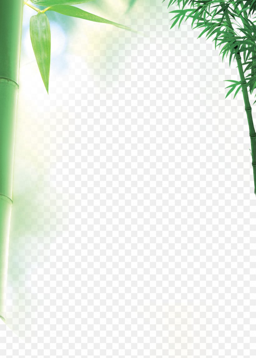 Bamboo Fundal, PNG, 1772x2481px, Bamboo, Coreldraw, Floor, Fundal, Grass Download Free