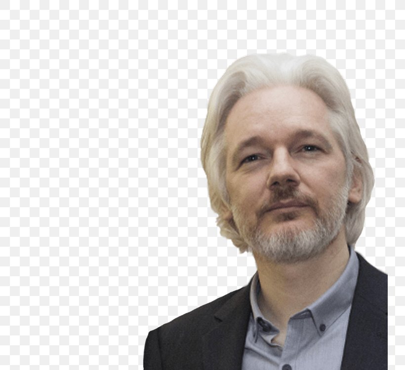 Julian Assange WikiLeaks Ecuador Internet Activism 2016 Democratic National Committee Email Leak, PNG, 750x750px, Julian Assange, Activism, Beard, Businessperson, Chin Download Free