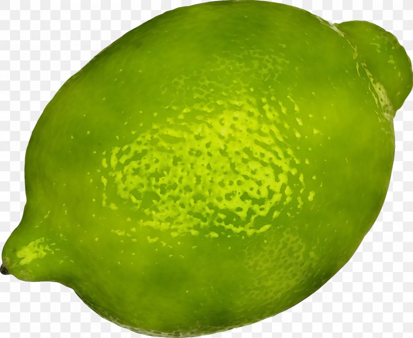 Persian Lime Lime Citrus Fruit Green, PNG, 2400x1966px, Watercolor, Citron, Citrus, Fruit, Green Download Free