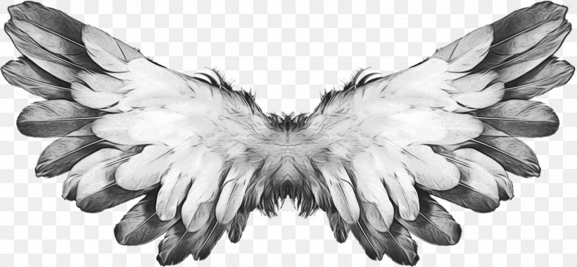 Angel Cartoon, PNG, 1920x888px, Feather, Angel Feathers, Bird, Blackandwhite, Drawing Download Free