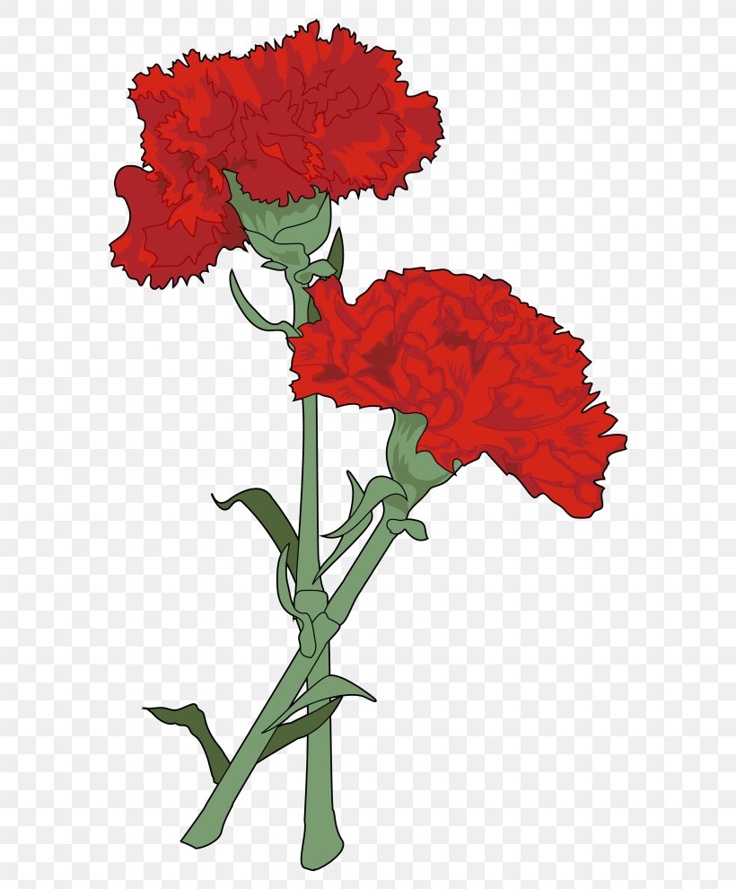 Carnation Drawing Watercolor Painting Cut Flowers, PNG, 700x990px, Carnation, Color, Coloring Book, Cut Flowers, Drawing Download Free