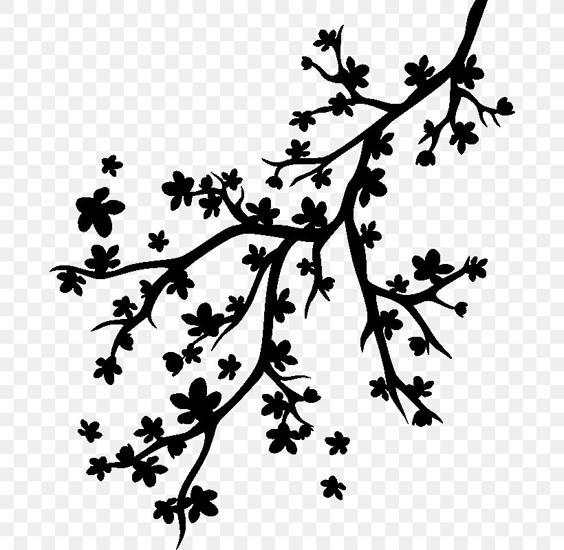 Twig Branch Tree Sticker East Asian Cherry, PNG, 800x800px, Twig, Black And White, Branch, East Asian Cherry, Flora Download Free