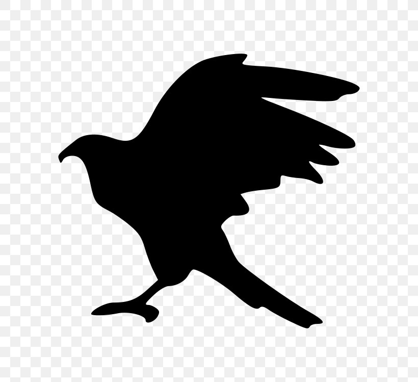 Bird Hawk Silhouette Clip Art, PNG, 800x749px, Bird, Art, Bald Eagle, Beak, Bird Of Prey Download Free