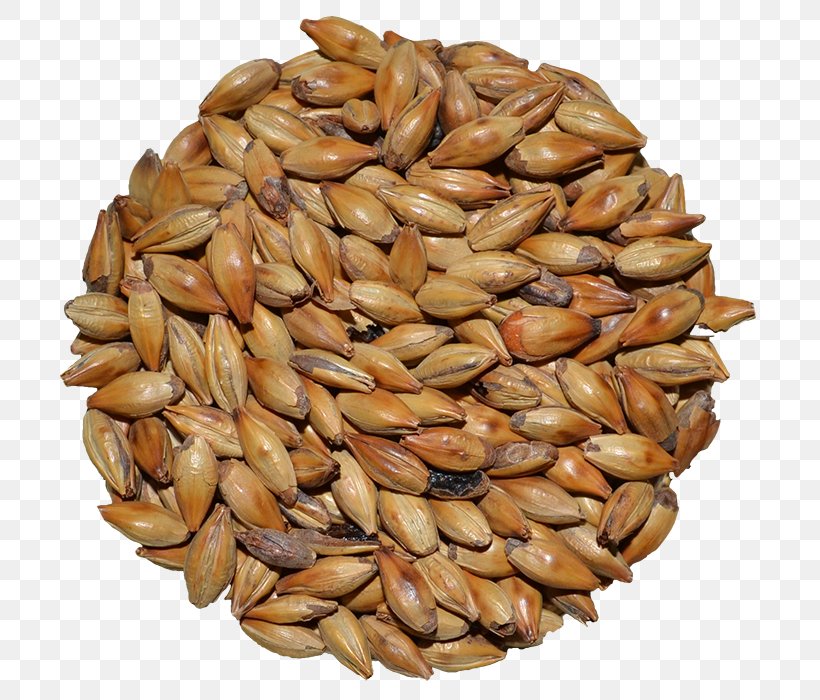 Cereal Germ Whole Grain Spelt Seed, PNG, 700x700px, Cereal Germ, Cereal, Commodity, Common Wheat, Dinkel Wheat Download Free