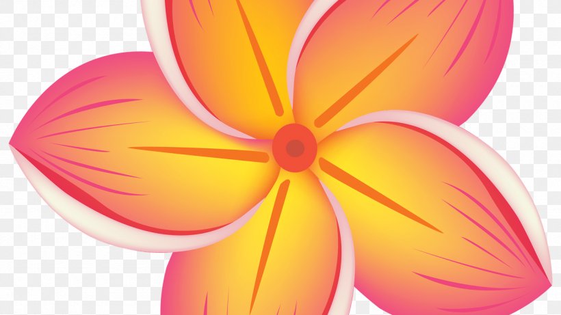 Clip Art Flower Image Floral Design, PNG, 1280x720px, Flower, Close Up, Drawing, Floral Design, Flowering Plant Download Free