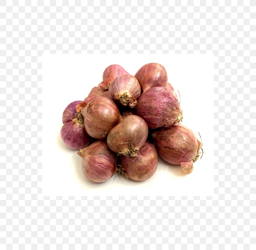 Red Onion Shallot Yellow Onion Sambar Food, PNG, 800x800px, Red Onion, Blog, Com, Food, Fruit Download Free