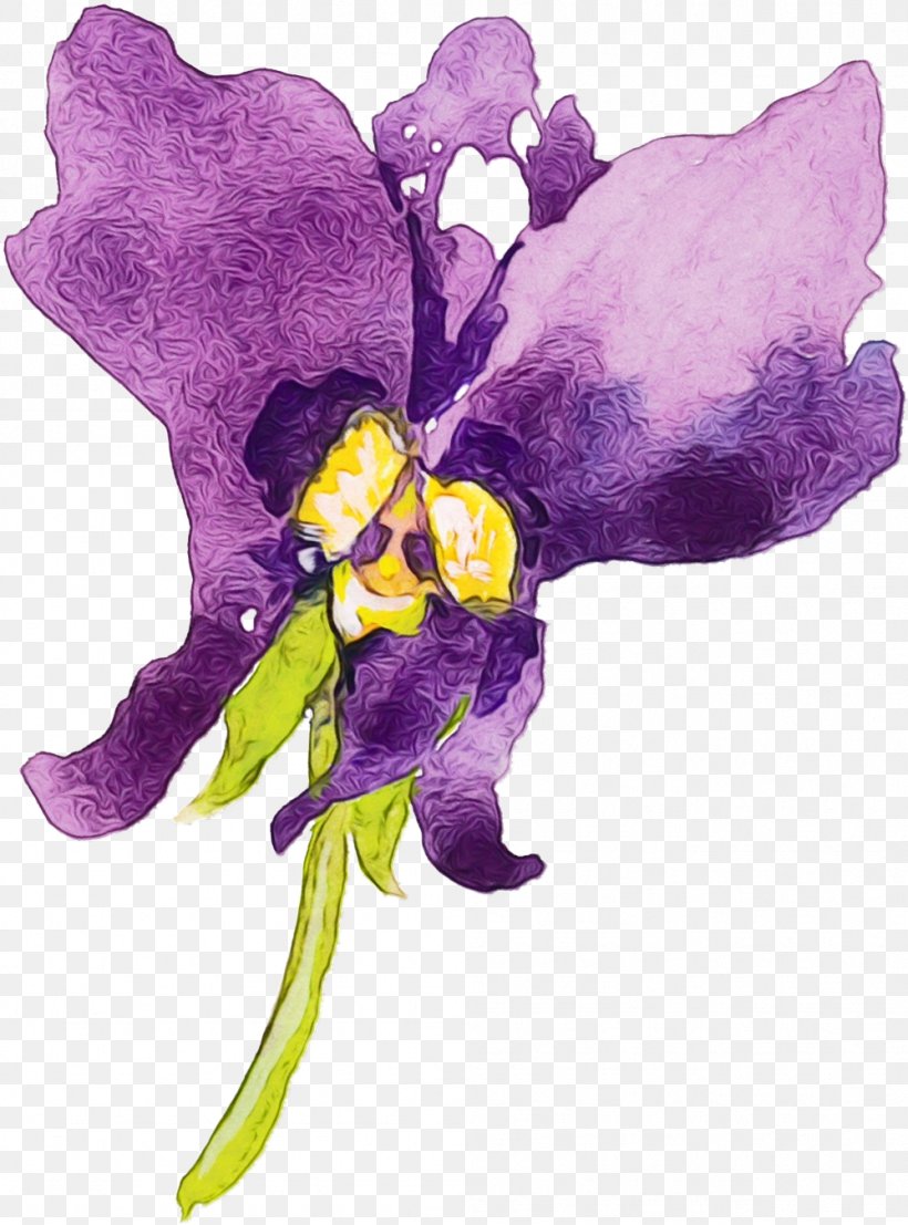 Violet Purple Flower Plant Watercolor Paint, PNG, 999x1349px, Watercolor, Flower, Flowering Plant, Iris, Paint Download Free