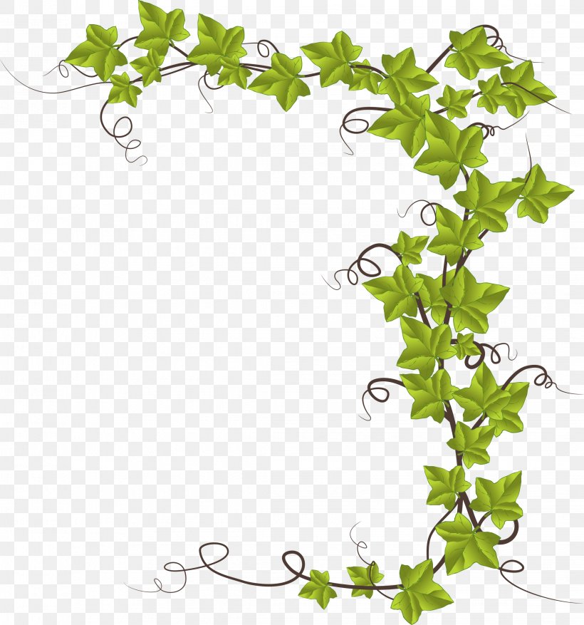 Common Ivy Vine Clip Art, PNG, 2243x2400px, Common Ivy, Blog, Branch, Evergreen, Flora Download Free