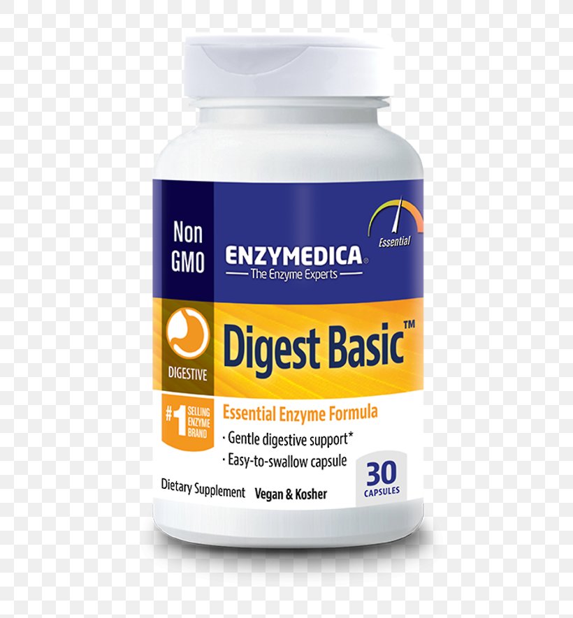 Dietary Supplement Digestive Enzyme Digestion Probiotic, PNG, 550x885px, Dietary Supplement, Amylase, Carbohydrate, Cellulase, Digestion Download Free
