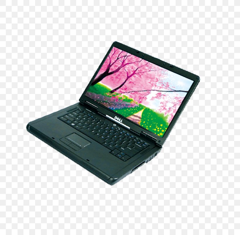 Netbook Laptop Download Computer, PNG, 800x800px, Netbook, Computer, Computer Accessory, Computer Science, Electronic Device Download Free