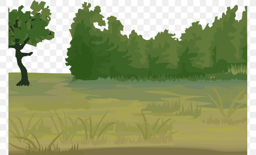 Vegetation Euclidean Vector Meadow, PNG, 765x499px, Vegetation, Biome, Branch, Ecosystem, Flora Download Free