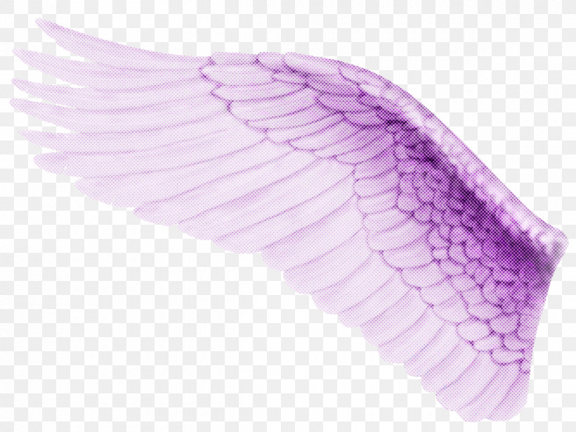 Feather, PNG, 1200x900px, Violet, Feather, Lilac, Pink, Purple Download Free