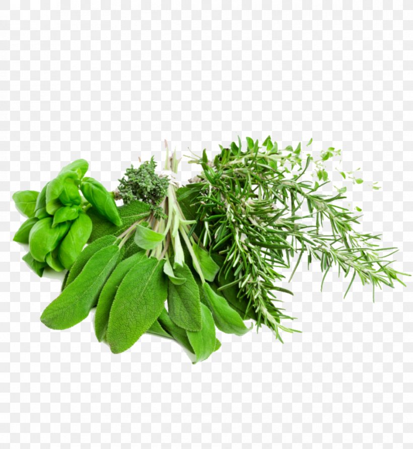 Herb Mediterranean Cuisine Vegetable Food Filé Powder, PNG, 941x1024px, Herb, Balsamic Vinegar, Fines Herbes, Flowerpot, Food Download Free