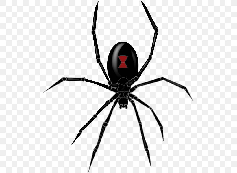 Spider Western Black Widow Southern Black Widow Clip Art Image, PNG, 521x600px, Spider, Arachnid, Arthropod, Black And White, Black Widow Download Free