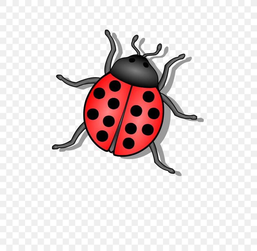 Beetle Ladybird Clip Art, PNG, 566x800px, Beetle, Arthropod, Drawing, Insect, Invertebrate Download Free