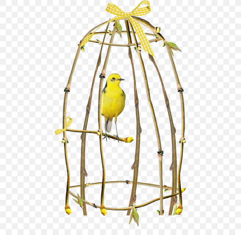 Birdcage, PNG, 449x800px, Bird, Atlantic Canary, Beak, Bird Supply, Birdcage Download Free