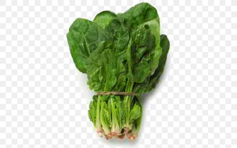 Leaf Vegetable Vegetable Chard Food Spinach, PNG, 512x512px, Leaf Vegetable, Arugula, Celtuce, Chard, Choy Sum Download Free