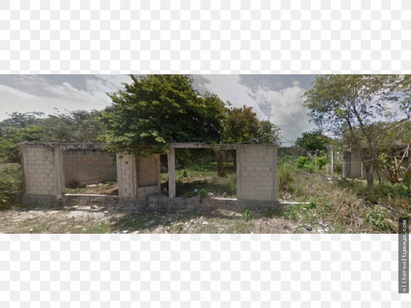 Property Plant Community Land Lot Tree, PNG, 979x734px, Property, Area, Community, Home, House Download Free