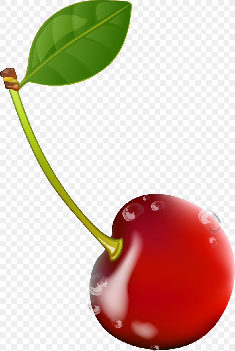 Cherry Drawing Red, PNG, 1500x2241px, Cherry, Cartoon, Cerise, Drawing, Drop Download Free
