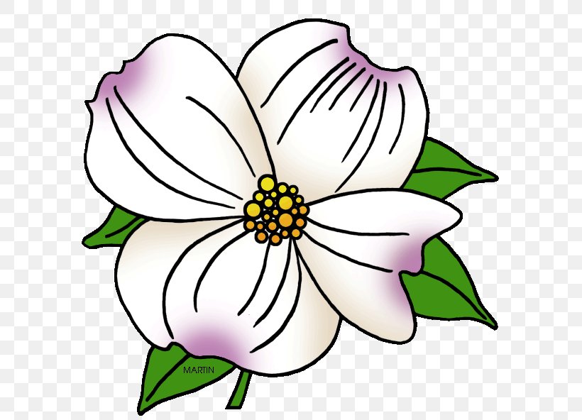 Flowering Dogwood Virginia Clip Art, PNG, 648x592px, Flowering Dogwood, Artwork, Color, Coloring Book, Cut Flowers Download Free