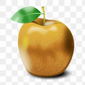 Granny Smith Tree - Fruit Apple Plant Food Natural Foods PNG