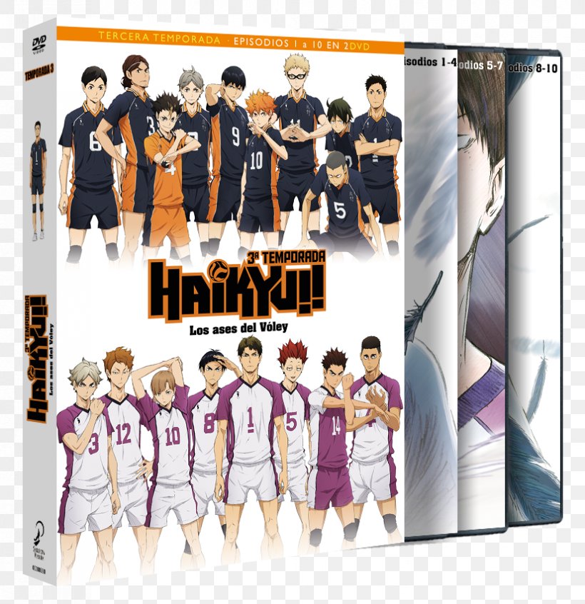 Haikyu!! Blu-ray Disc Shoyo Hinata Episode DVD, PNG, 826x853px, Watercolor, Cartoon, Flower, Frame, Heart Download Free