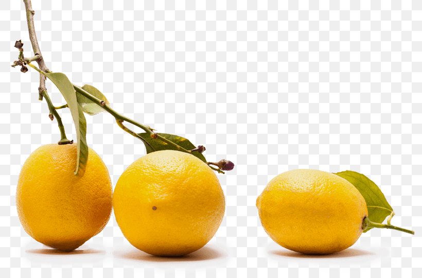 Sweet Lemon Citron Vegetarian Cuisine Food, PNG, 790x540px, Lemon, Citric Acid, Citron, Citrus, Citrus Junos Download Free