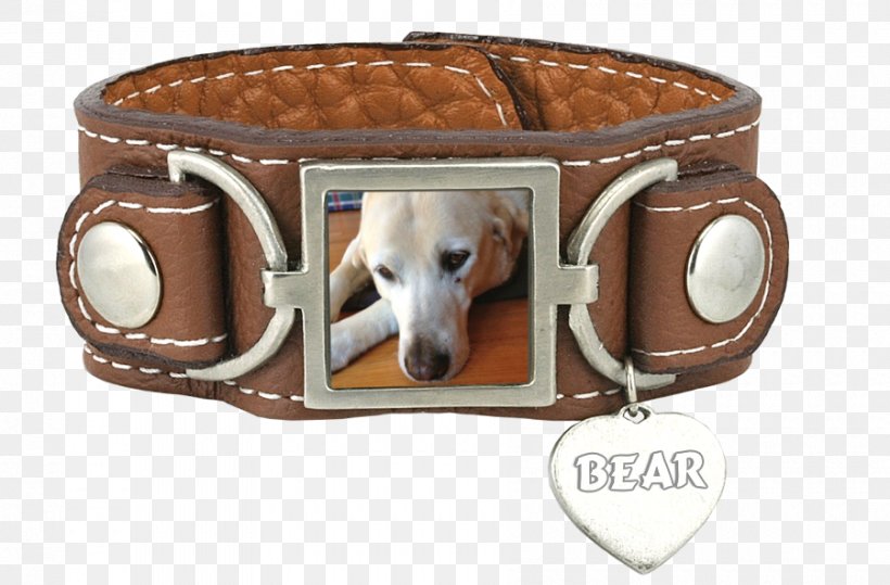 Dog Collar Belt Leash, PNG, 900x592px, Dog, Belt, Belt Buckle, Belt Buckles, Bracelet Download Free