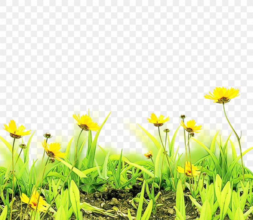 Floral Flower Background, PNG, 1949x1697px, Flower, Amaryllis Family, Floral Design, Grass, Grass Family Download Free