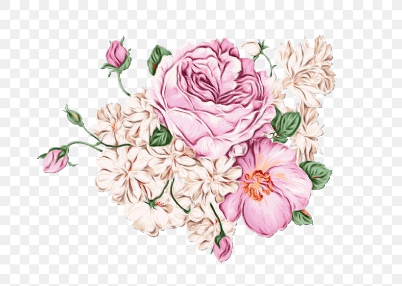 Garden Roses Sticker Wall Decal Peony Flower, PNG, 800x584px, Garden Roses, Botany, Bouquet, Cut Flowers, Decal Download Free