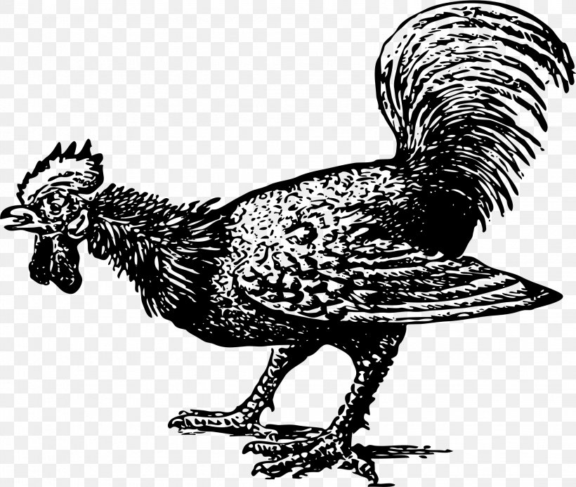 Rooster Chicken Poultry Farming Cock A Doodle Doo Bird, PNG, 2248x1902px, Rooster, Art, Beak, Bird, Black And White Download Free