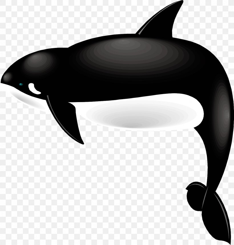 Dolphin Killer Whale Whales Tilikum Cetaceans, PNG, 1381x1447px, Dolphin, Animal, Beluga Whale, Black And White, Cetaceans Download Free