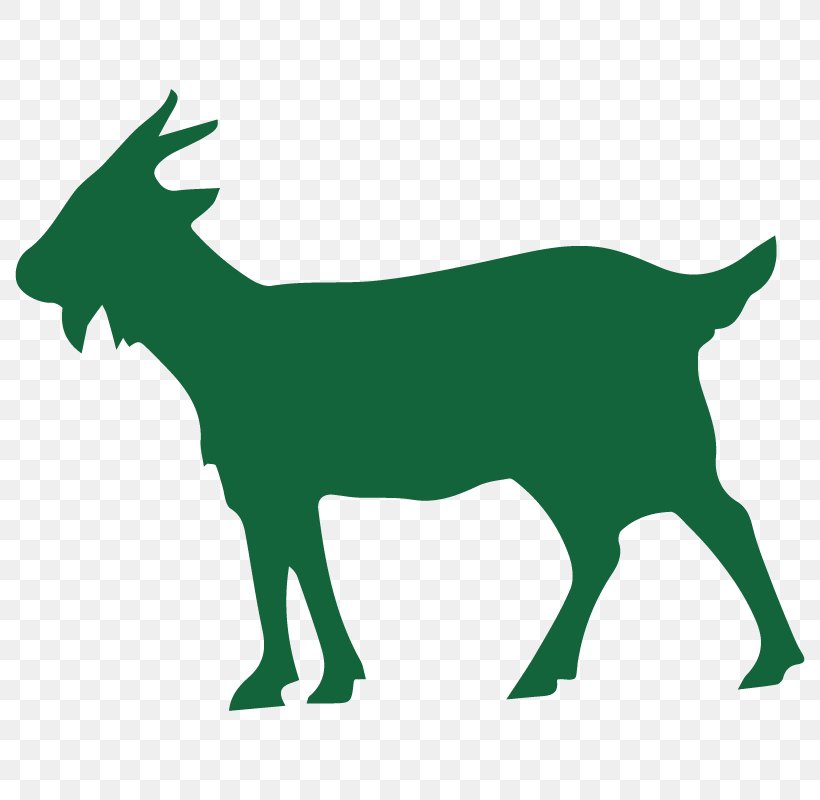 Goat Sheep Pathogen Evolution Mammal, PNG, 800x800px, Goat, Bacteria, Cattle Like Mammal, Chordate, Cow Goat Family Download Free