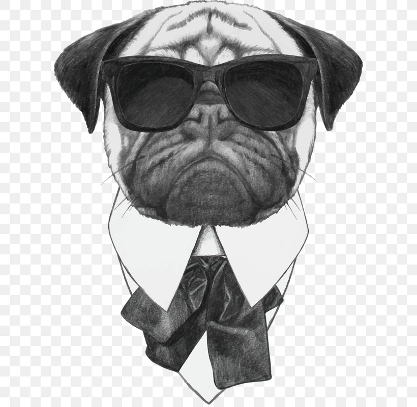 Pug Stock Photography Sunglasses Stock Illustration, PNG, 608x800px, Pug, Art, Beard, Black And White, Bulldog Download Free
